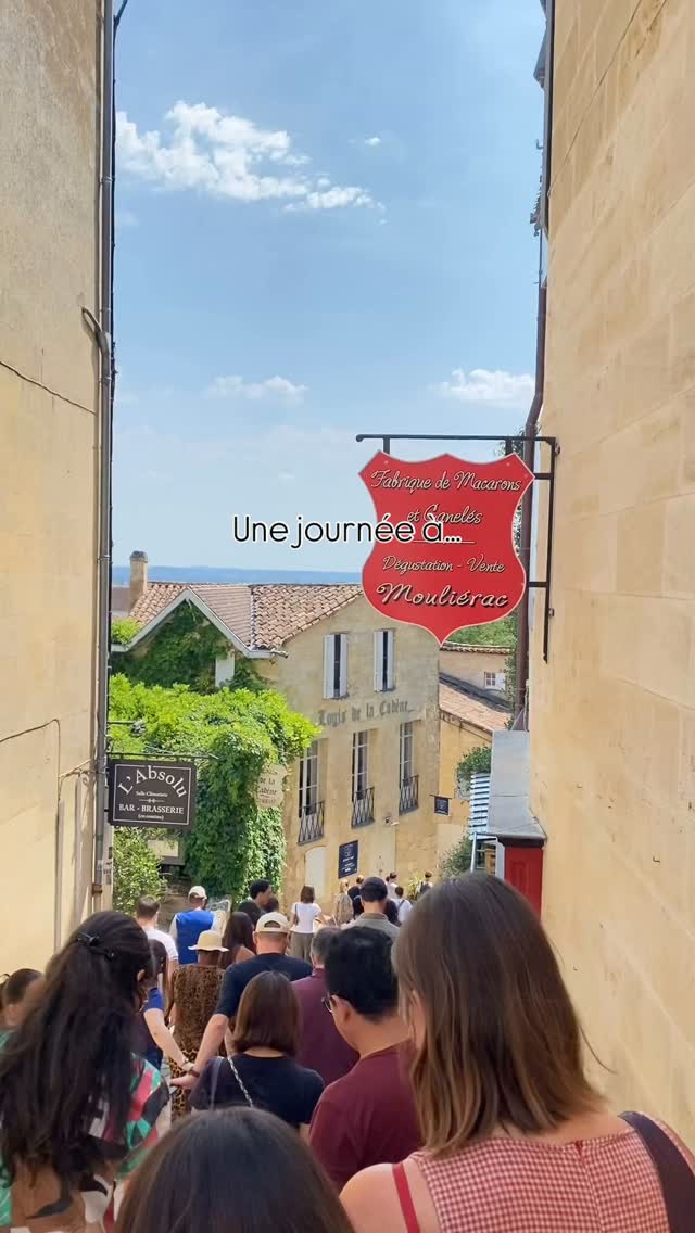 Les étudiants ont profité d’une magnifique journée ensoleillée ☀️ au village de Saint-Emilion 🍇⛪️
Entre visite de monu