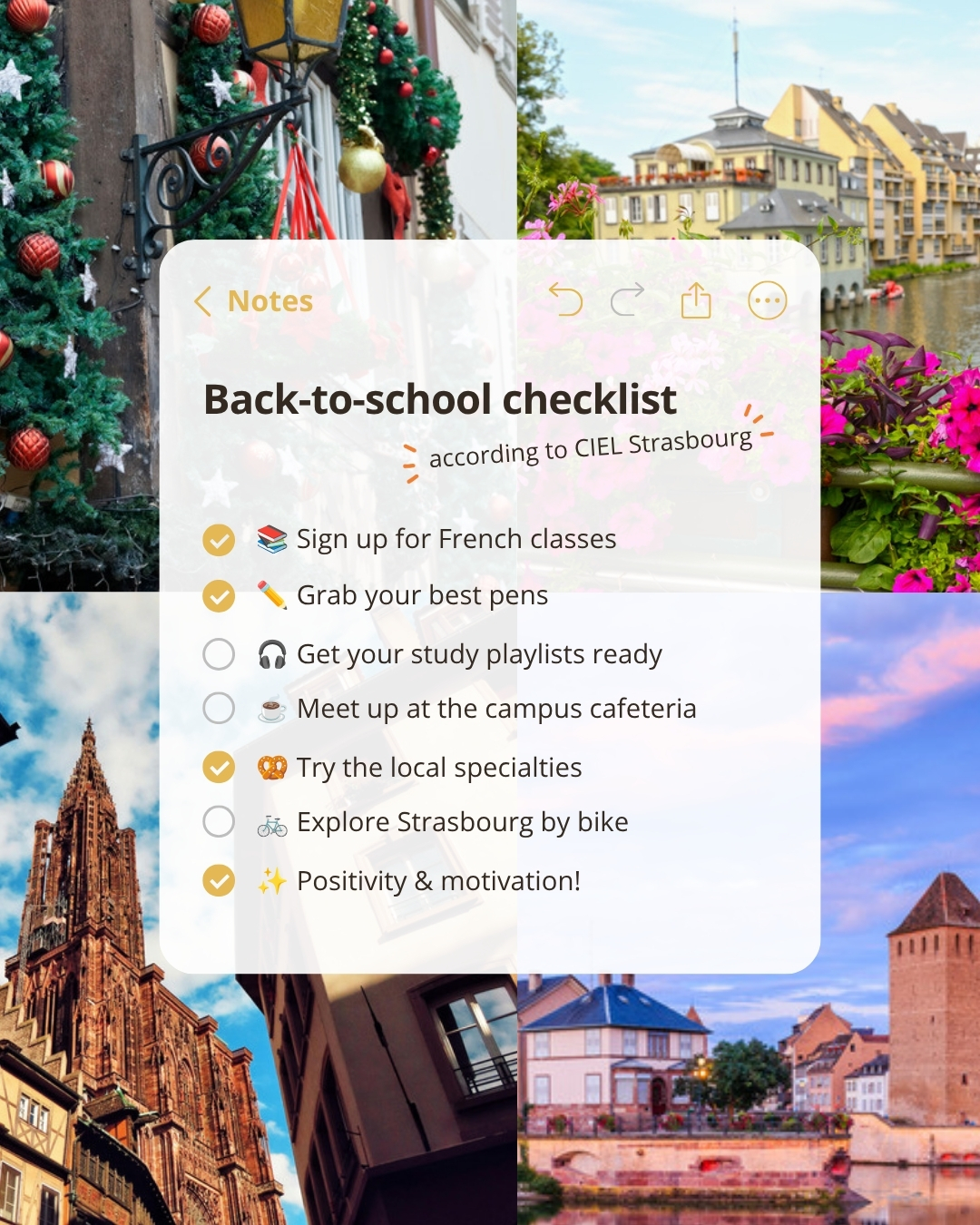 🇬🇧 Back to school at CIEL Strasbourg! 🎒 Ready for a new year full of discoveries and learning?
We’ve prepared the ult