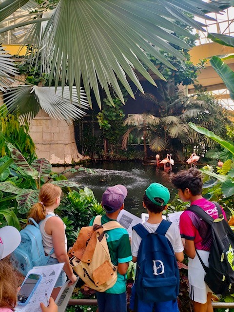🇫🇷🥳 LE succès de l’été : le Kids Course !
Complet tout l’été… et déjà la dernière semaine qui arrive ! 🥹 Cet été,