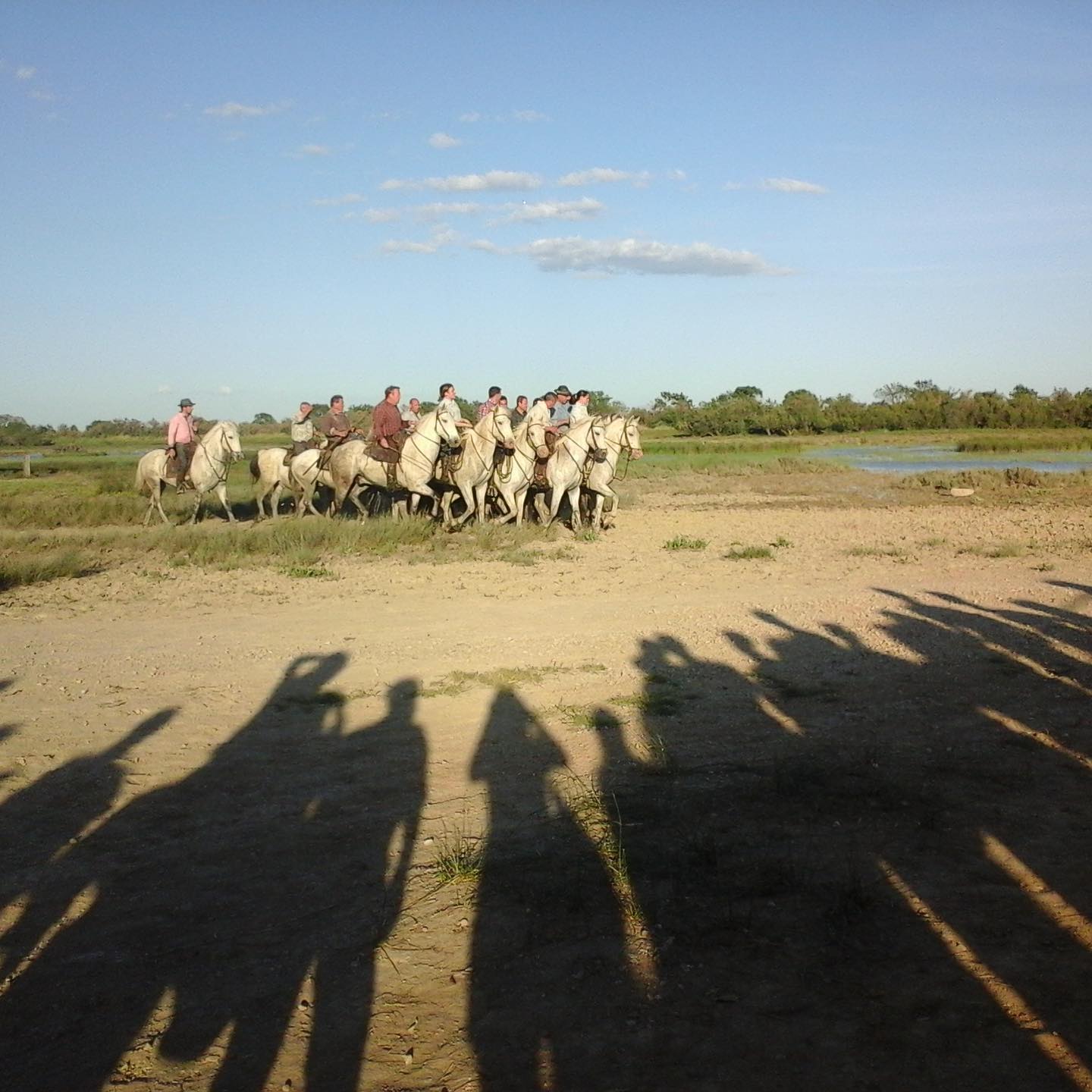 Manades et traditions camarguaises 🐃🏇🦆
#manade #LoveiLP #summer #activities #apprentissage #learnfrench #montpellier
