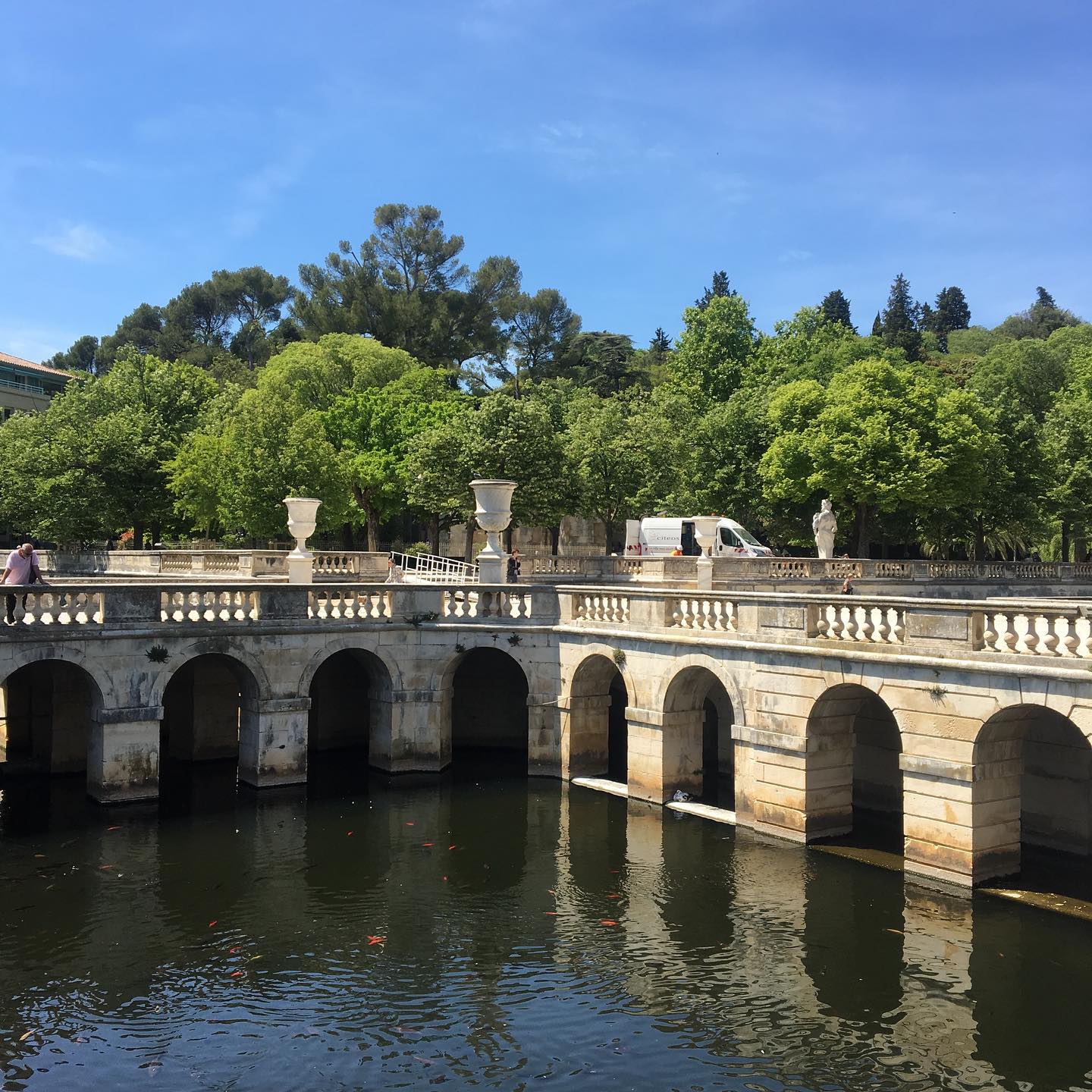 Nîmes, les jardins de la fontaine 🌼🍀🥀
#nimes #LoveiLP #summer #activities #apprentissage #learnfrench #montpellier #f